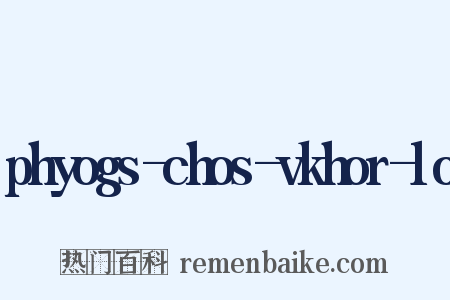 phyogs-chos-vkhor-lo是什么意思的图片